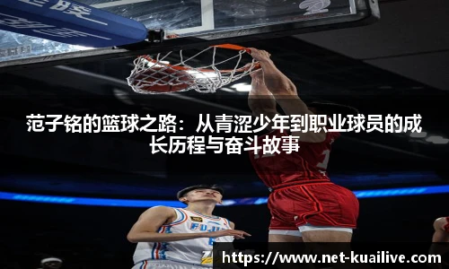 快高清直播